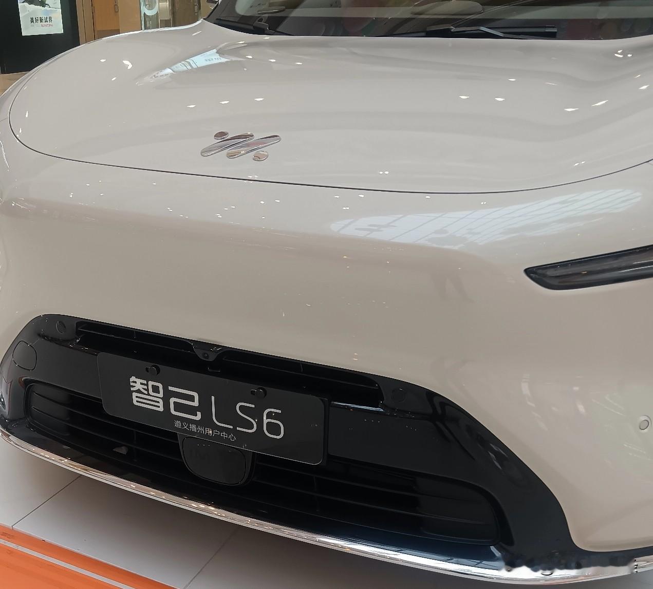 过年回家，最幸福的事，就是一家人整整齐齐、舒舒服服。智己LS6，为中国家庭重新定