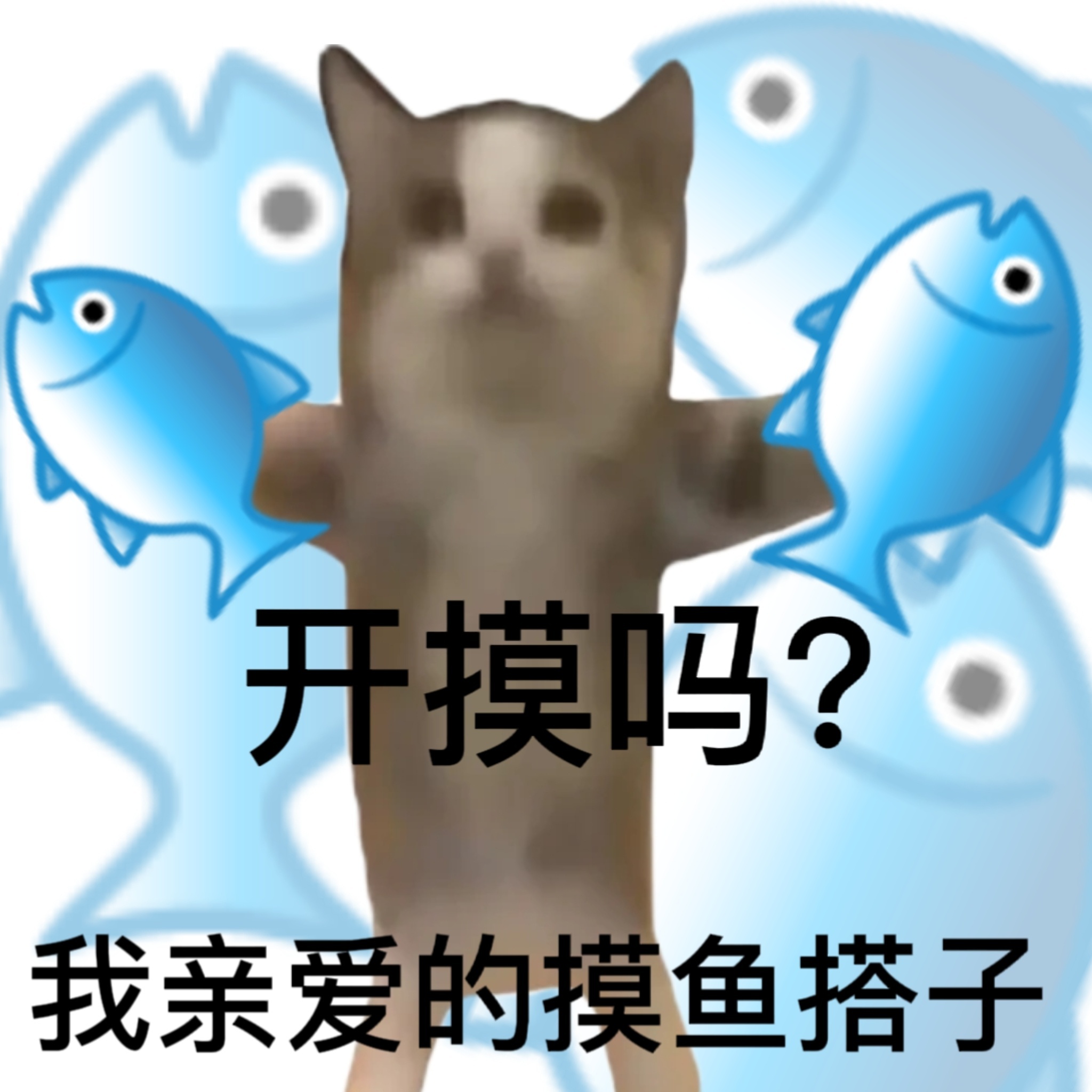 碗们领导不在家诶～ 快乐🎉的星期天赛的～ ​​​