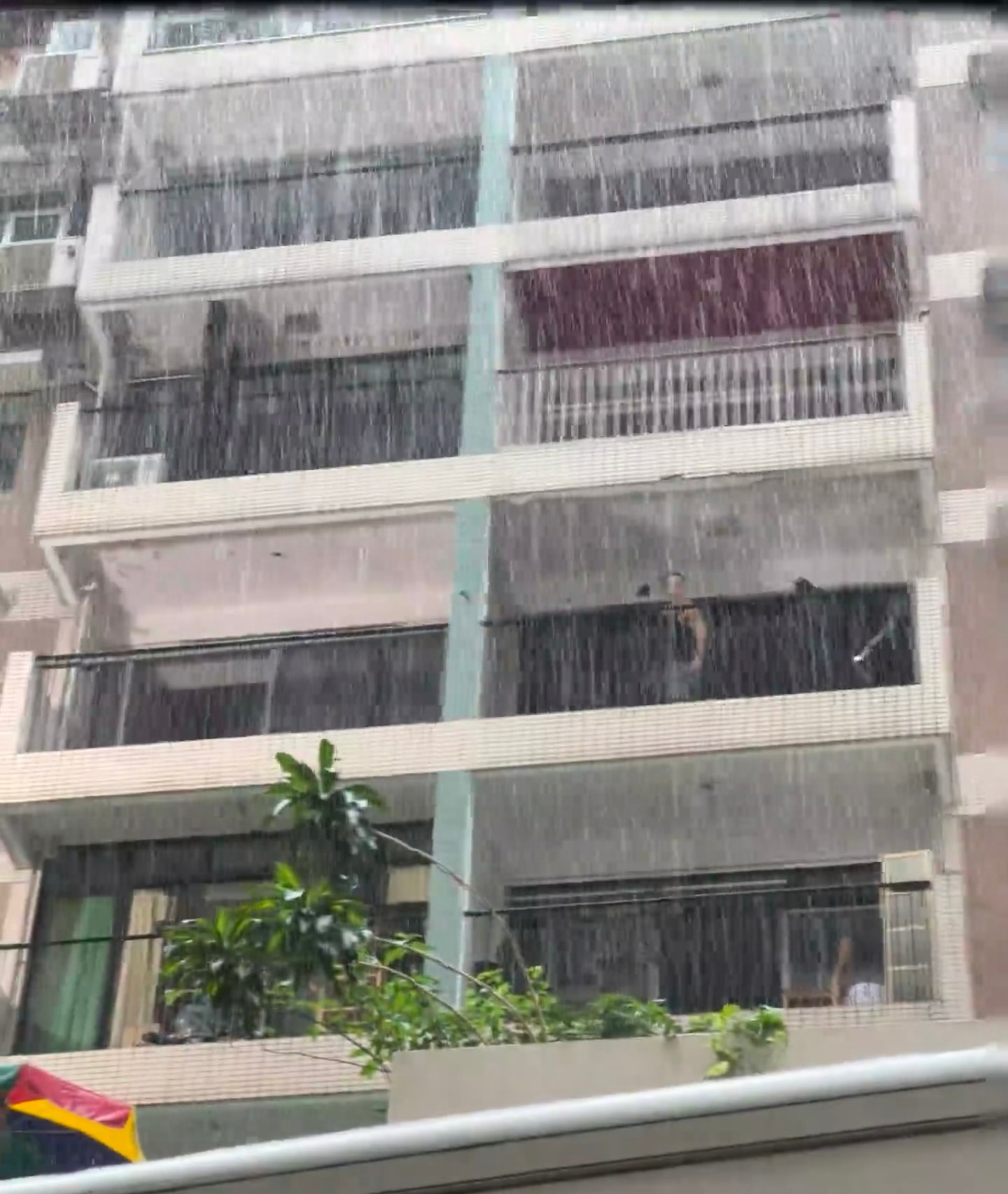 香港下大雨了吗？不知道林彦廷有没有带伞上班
