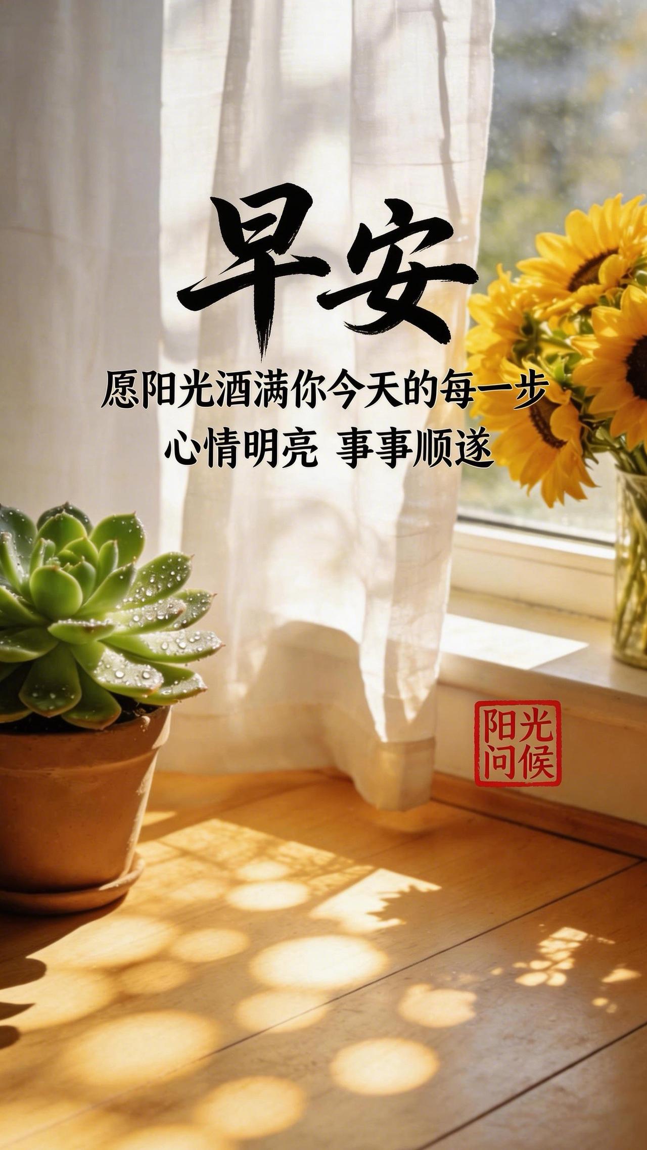 早安呀，愿你被今日的温柔与光亮紧紧包裹，一路向阳，满心欢喜。早安 早安阳光问候 
