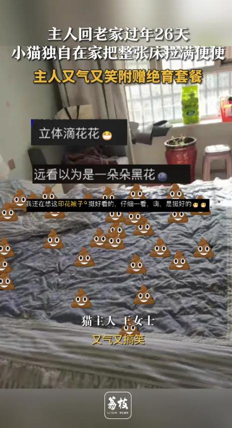 “又气又搞笑！”新疆和田，一女子回老家过年，将小猫独自留在家中26天，满心欢喜返