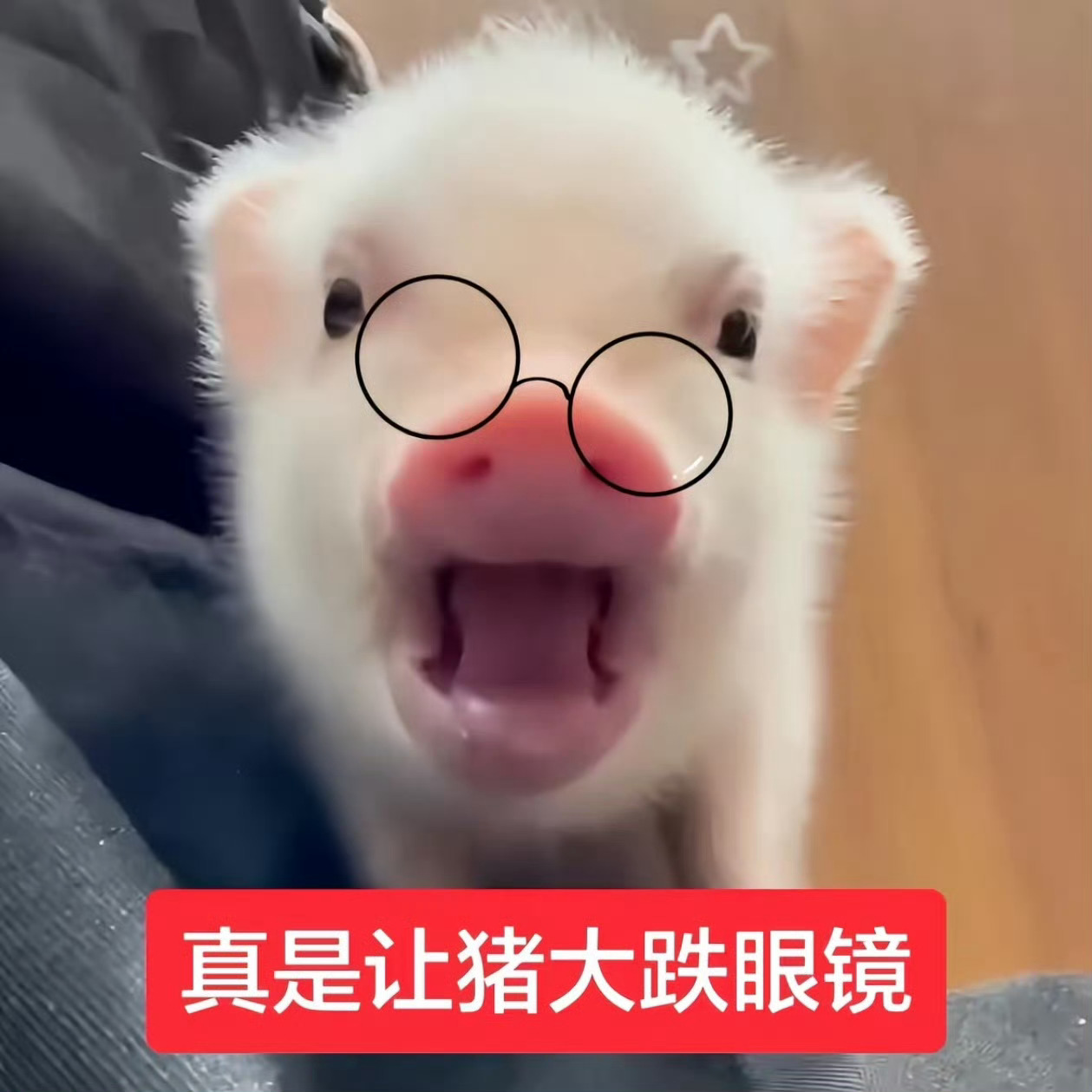 🐽张子墨  专栏 · 馍馍幼稚园