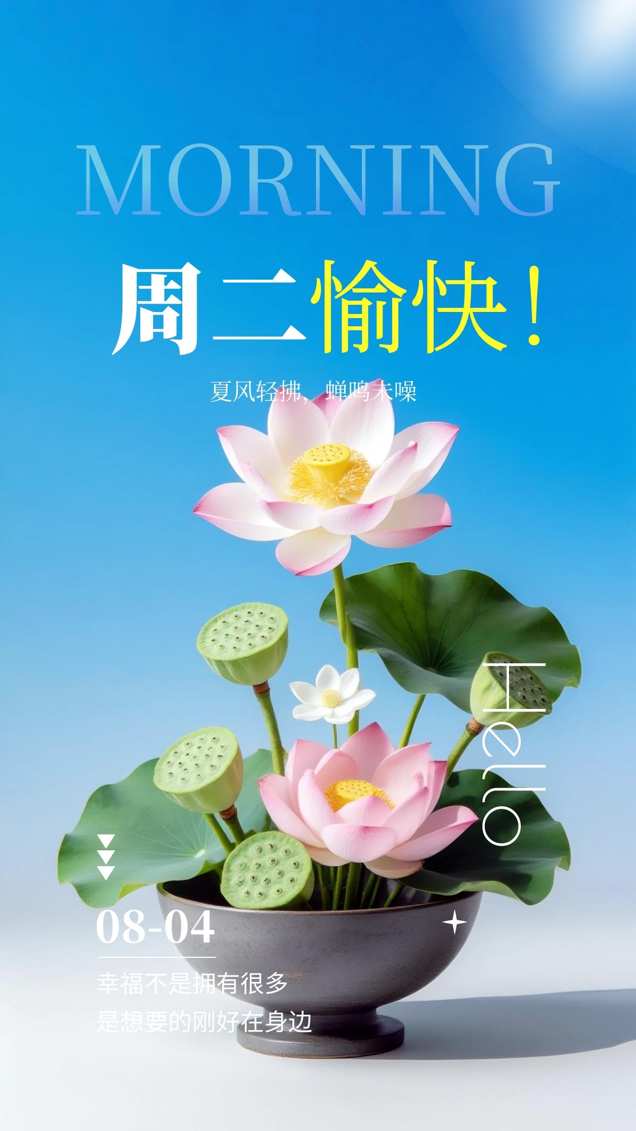 周二清晨，送上暖心问候💐。新的一周行程过半，不必被琐事裹挟，学会放宽心态，接纳