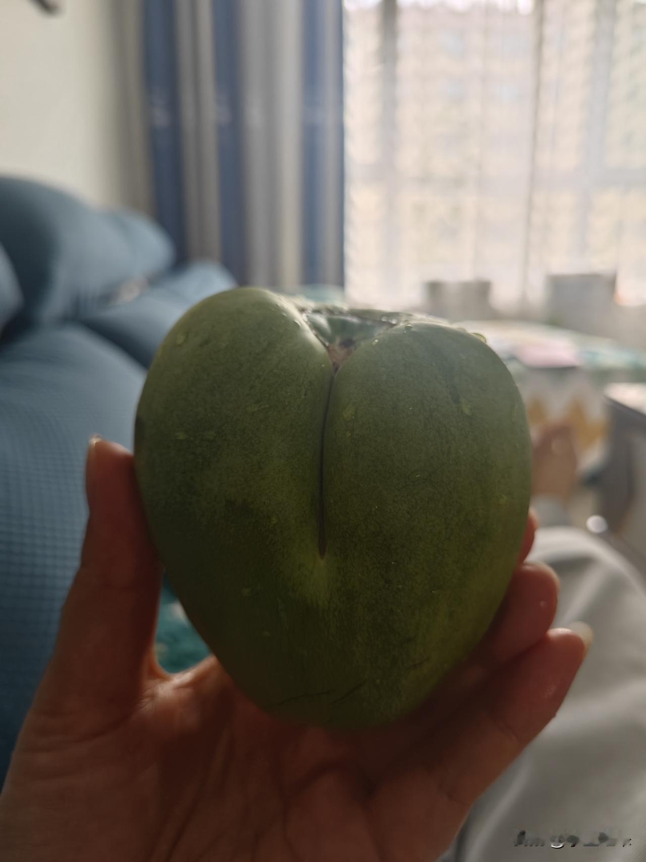 歪瓜裂枣更甜更好吃，好久没碰到了，那天在路边看到一个大姐在卖，我过去了，先给我切