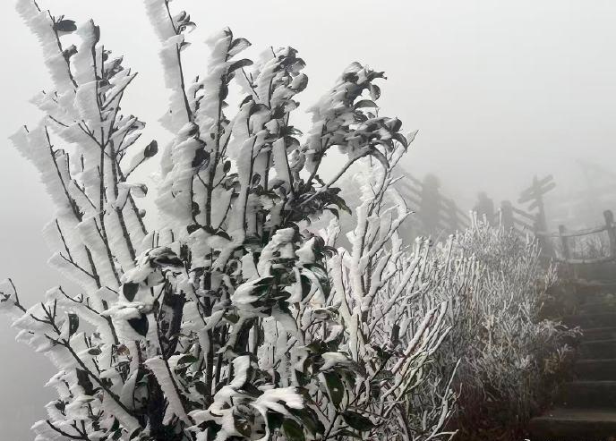 你敢相信，这是在广东吗？