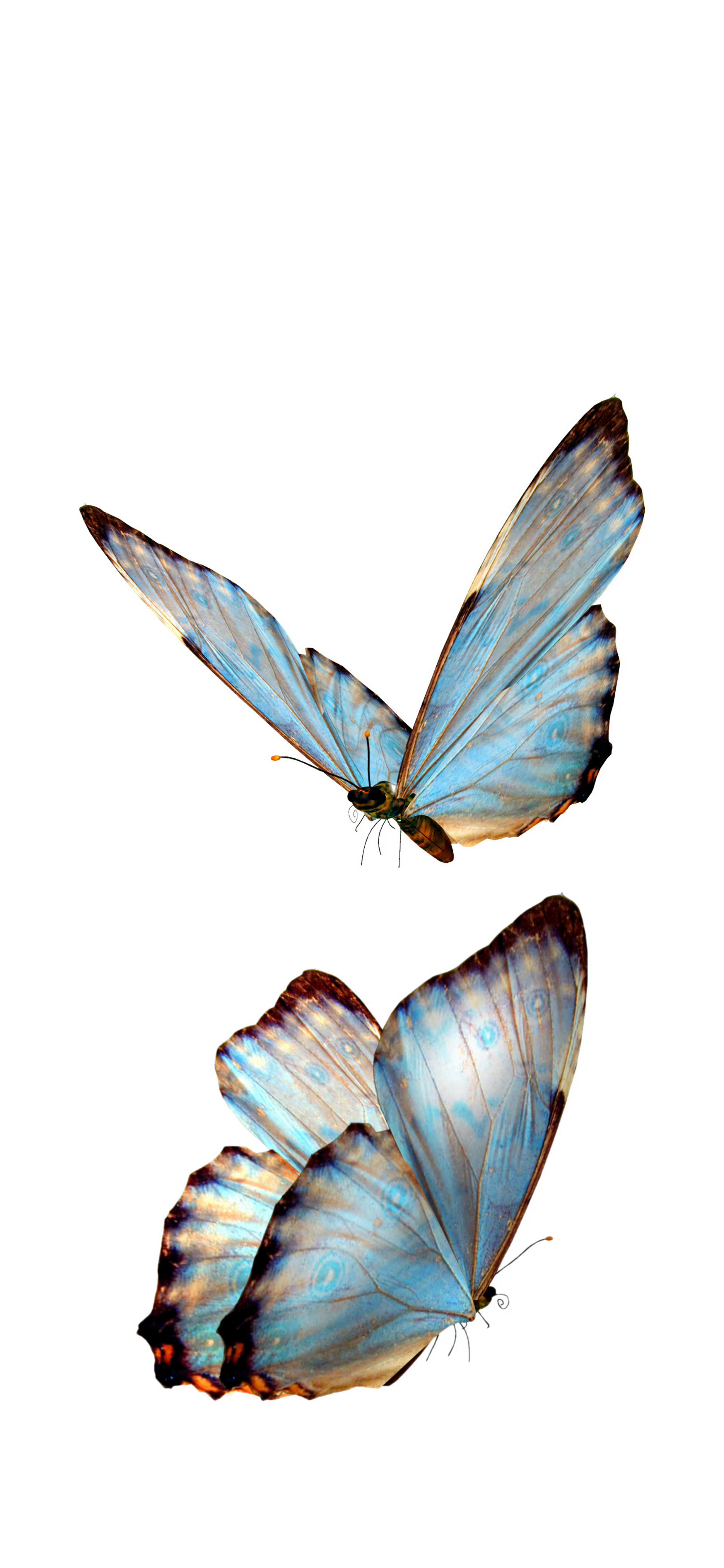 𝕎𝕒𝕝𝕝𝕡𝕒𝕡𝕖𝕣 锁屏壁纸 ​​​