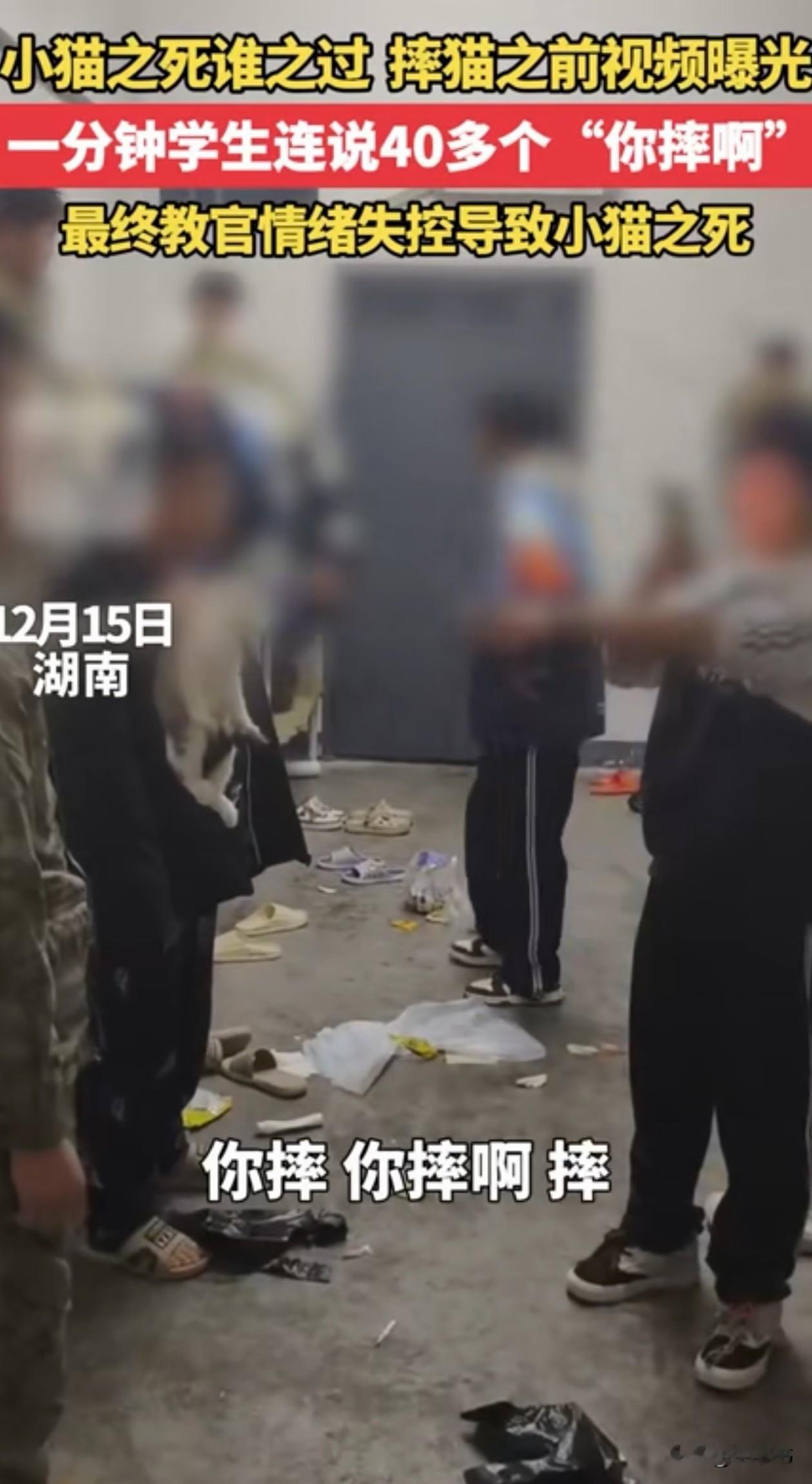 湖南，一个学生把一只灰白花色的小猫带回了宿舍，查寝的教官发现后，要把猫带走，可学