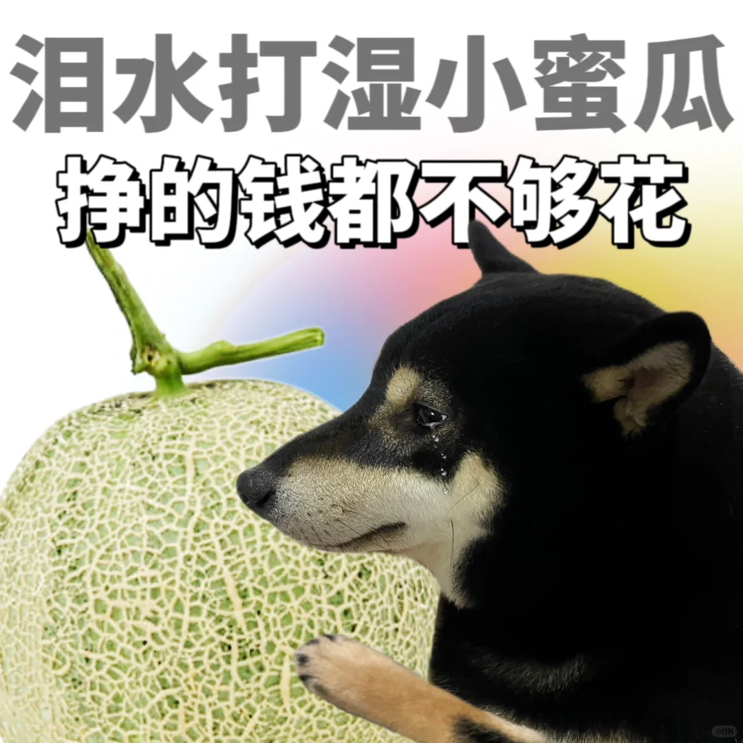 表情包|泪水打湿生活🫢