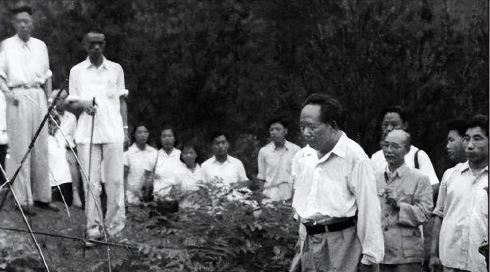 1959年毛主席重回故乡，祭拜父母时发现坟头早已破败，工作人员提议重修坟墓，而毛