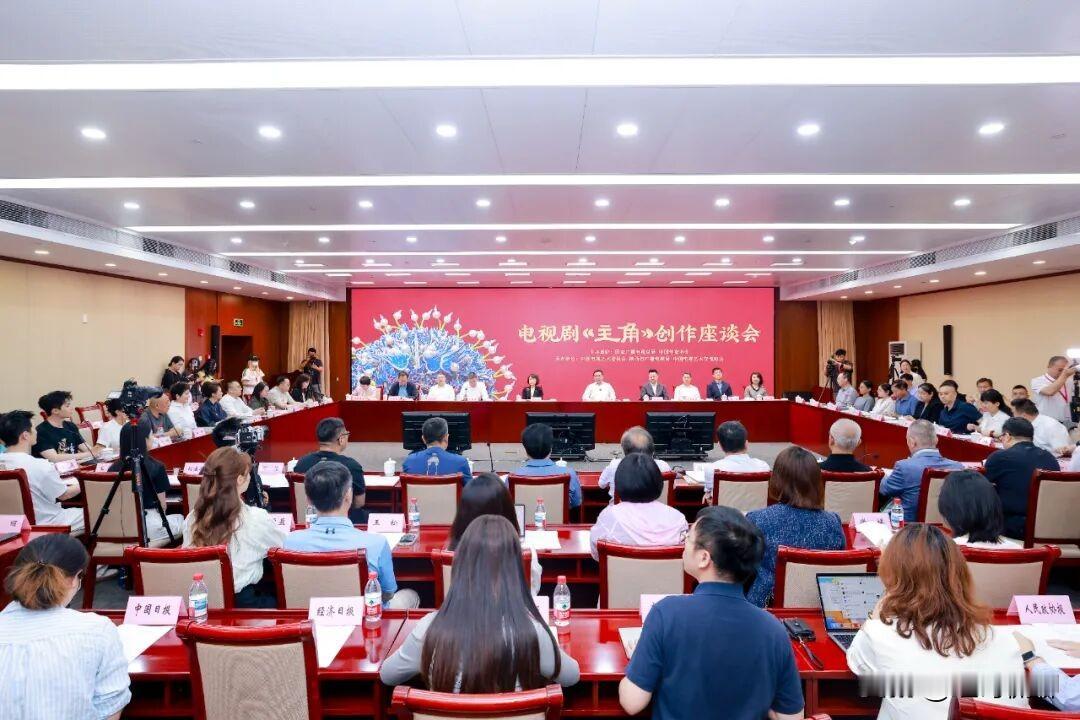 会议目的（2026.6.10 广电总局《主角》座谈会），总结《主角》成功经验、树