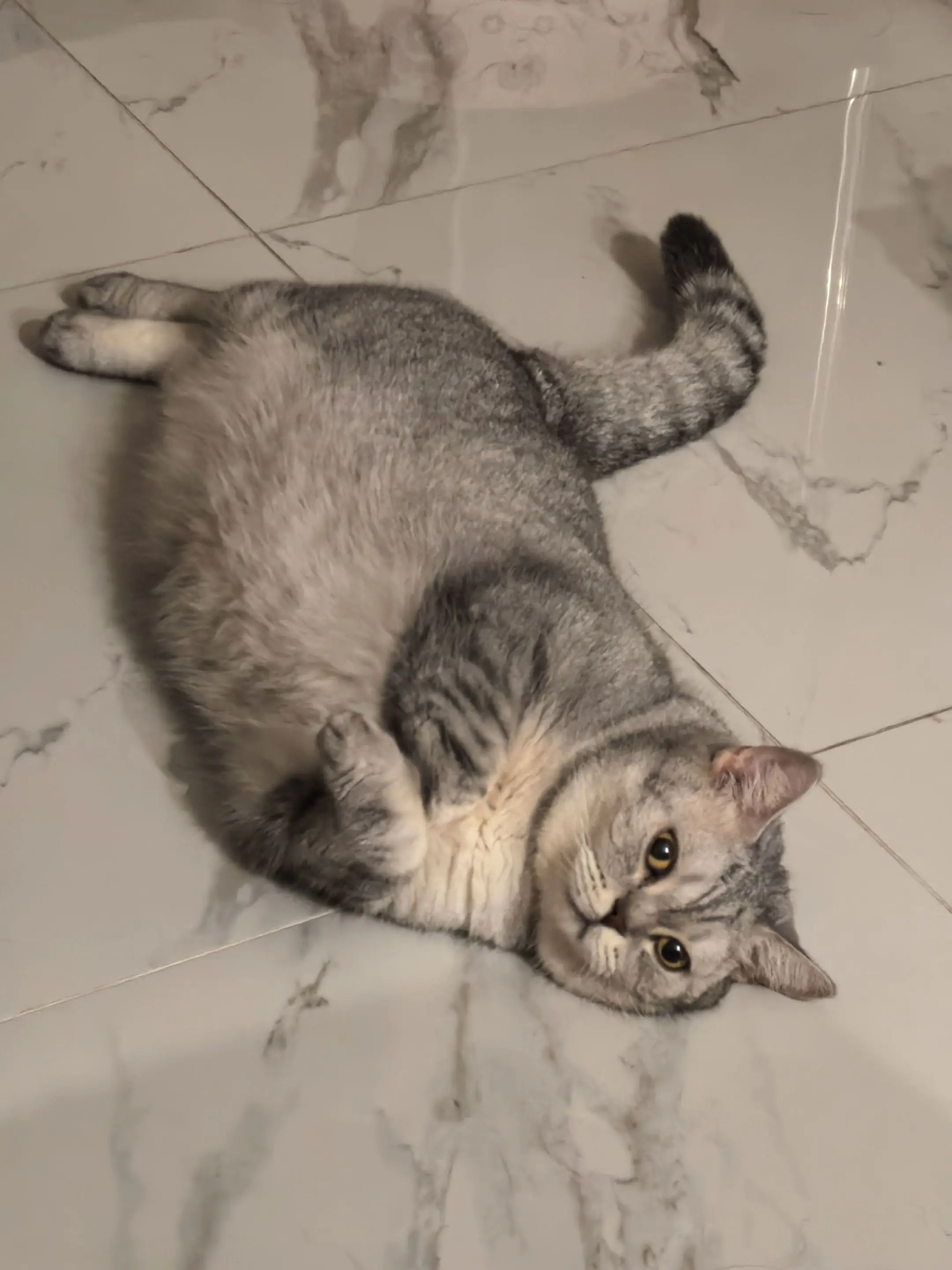 ^•͈⚇•͈^见过🦭咪吗？