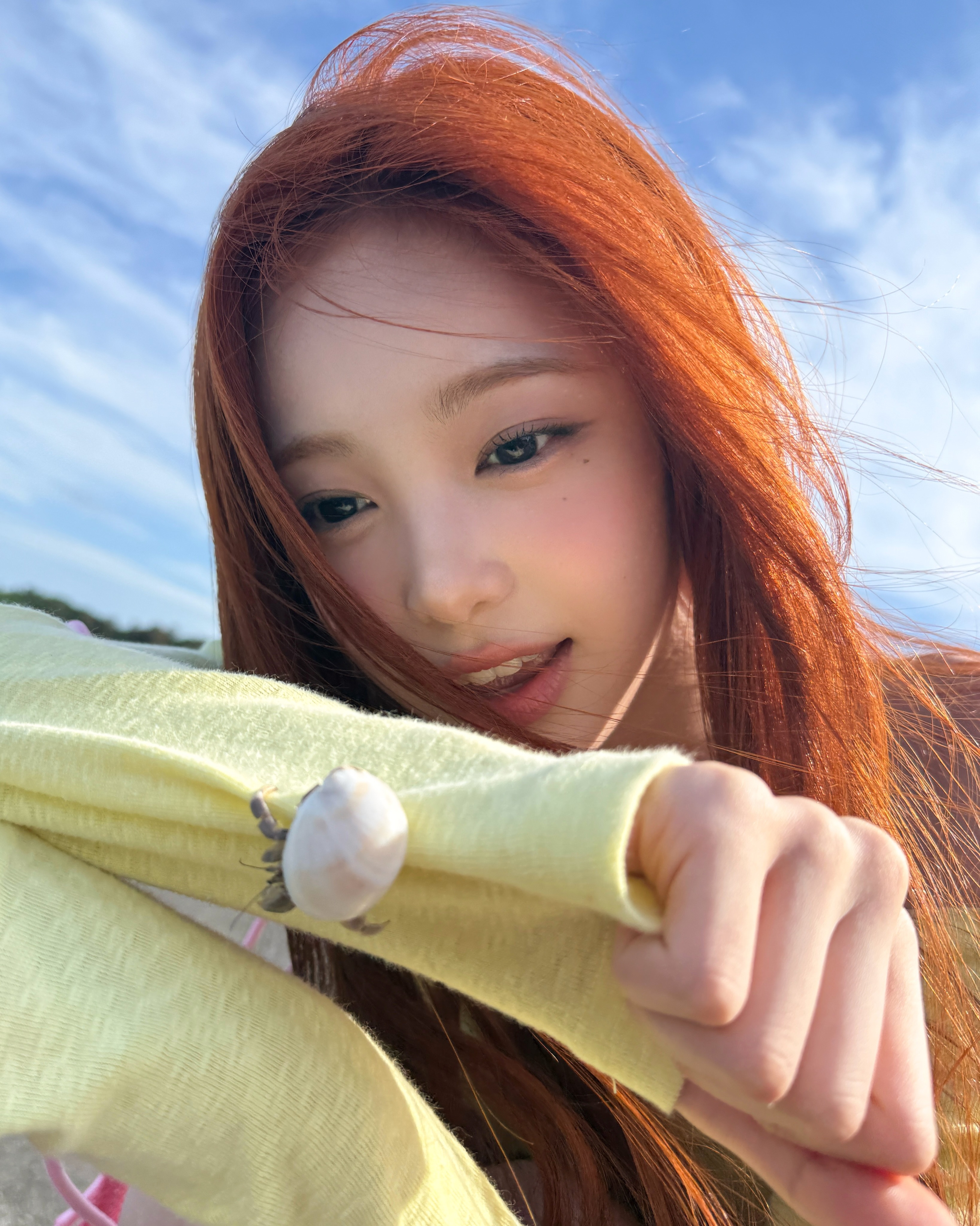 寄居蟹前辈nim 🦀 H2H新歌MV
