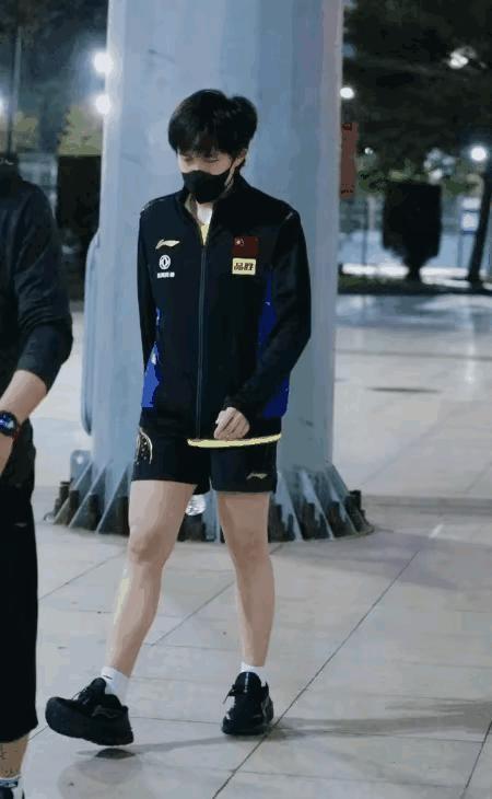 这世道变化快，关注明星腿部肌肉也成了新风向标。乒乓球运动员的身材一直以来备受关注