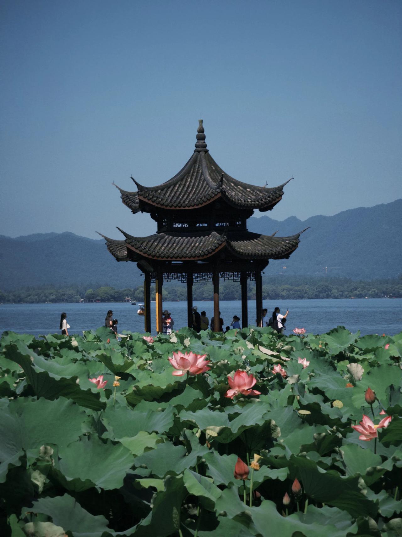 🌴暑假杭州必住！西湖边的神仙酒店太绝了！

宝子们！暑假全家出游计划提上日程了