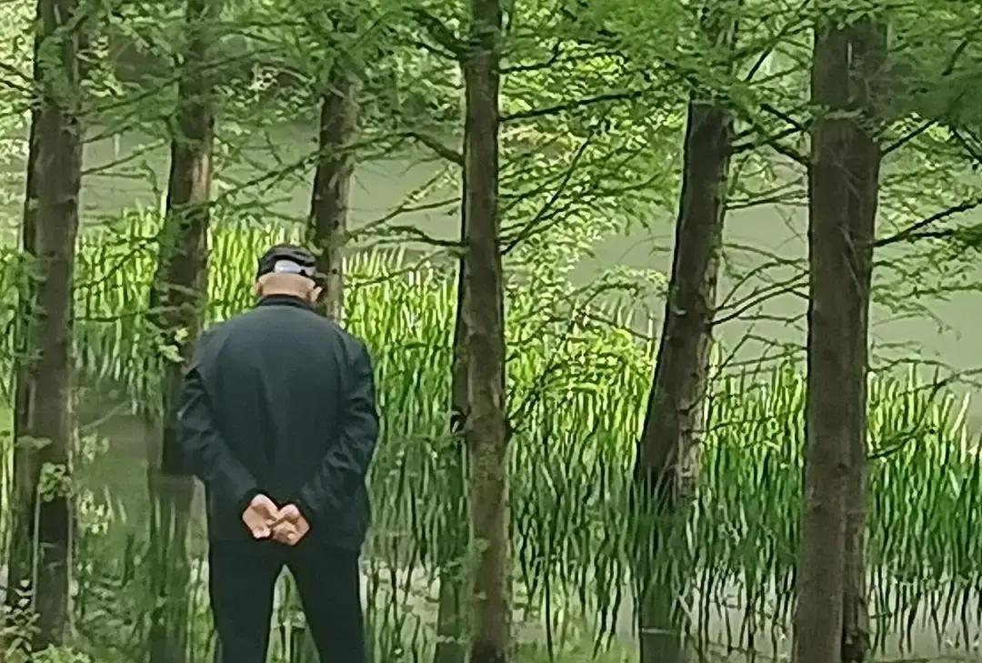 陈大娘八十八，儿子儿媳年年把她生日忘光，转头给孙子大红包。
孙阿姨两口子退休金全