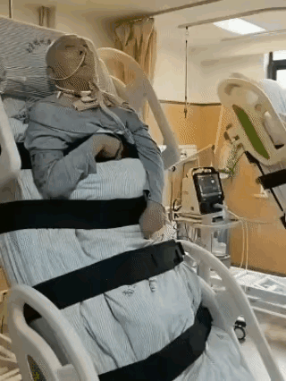 苟活着，对本人而言是无能为力的痛苦，对子女而言是尽孝道的徽章，或者就是一尊财神爷