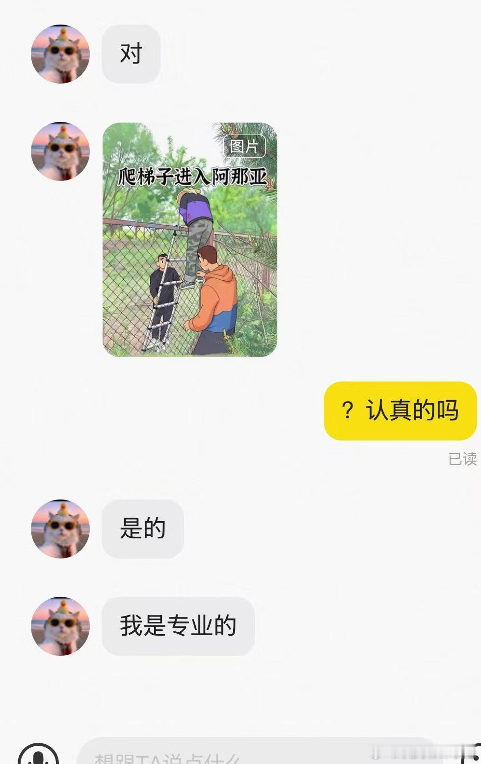 嘿嘿嘿！明天北京出差，打算端午节直接杀去阿那亚戏剧节，想了三年终于兑现了。创业后