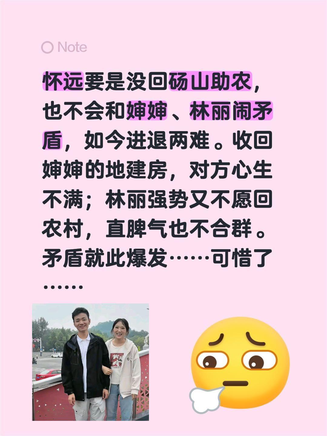 怀远要是没回砀山助农，也不会和婶婶、林丽闹矛盾，如今进退两难。收回婶婶的地建房，