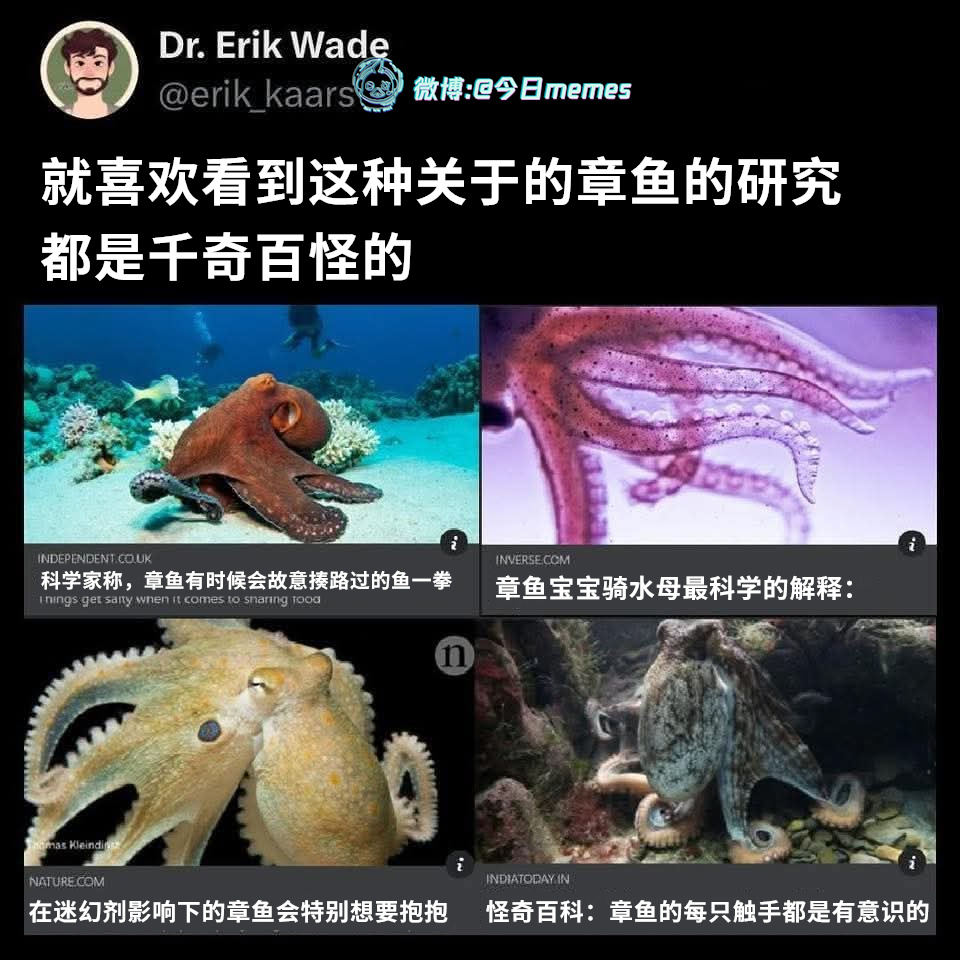 故鱼（9gag）今日meme[超话] 今日memes ​​​