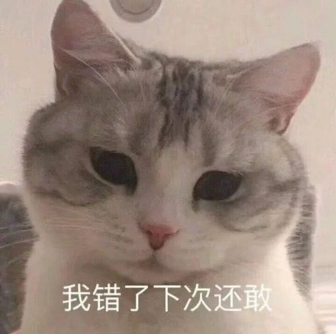 来存点表情包