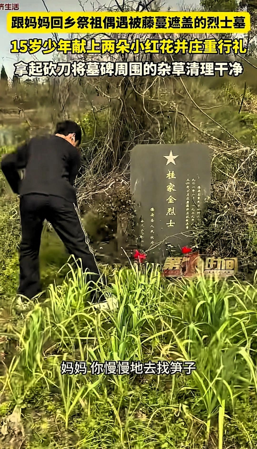 “太懂事了！”江西九江，一女子带15岁儿子回乡上山祭祖，意外在途中发现一座长满藤