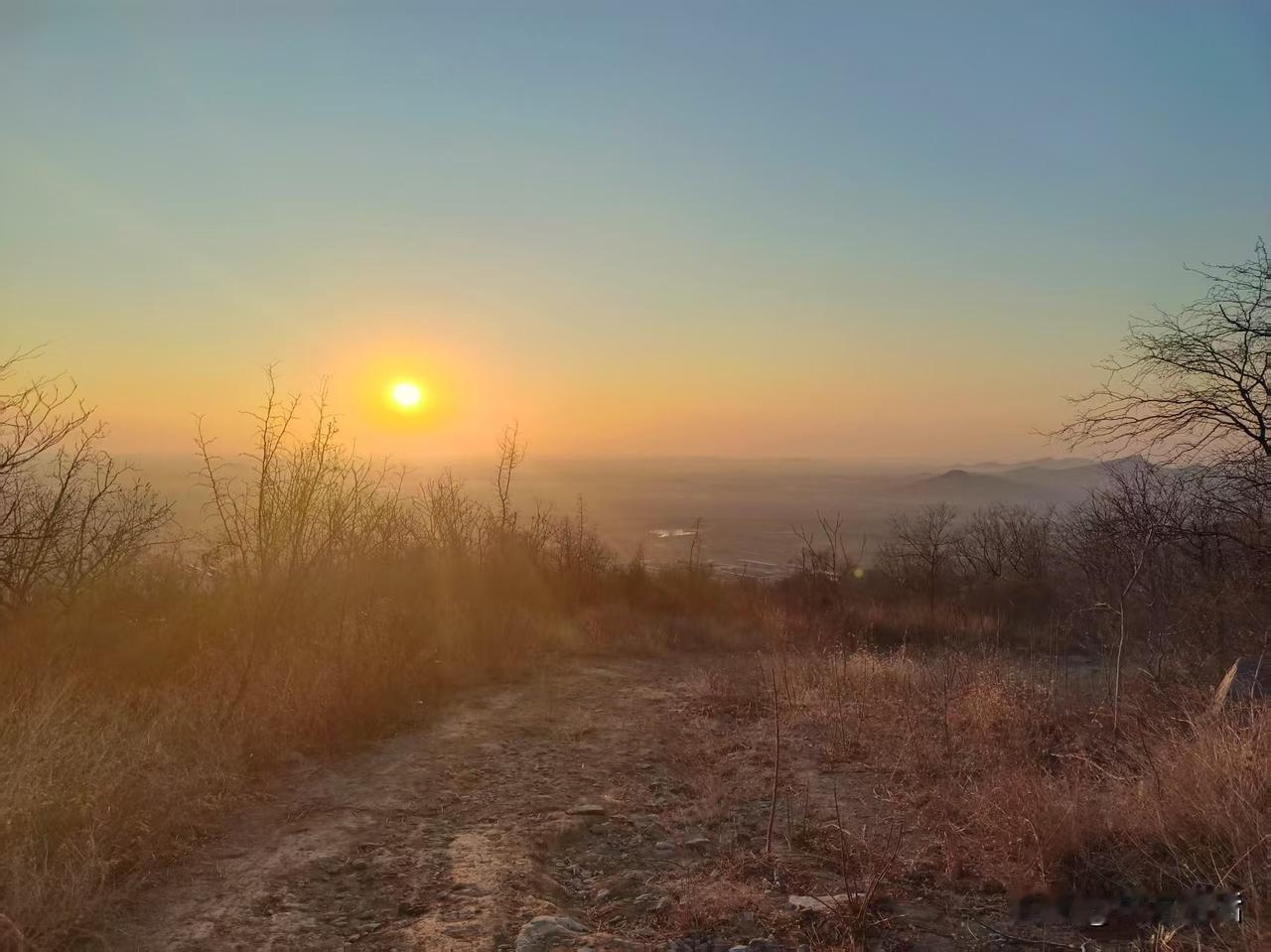 梁东方
昨天登山，今天手上、脚上、腿上好几个地方还都有扎了刺以后的隐痛。有的刺能