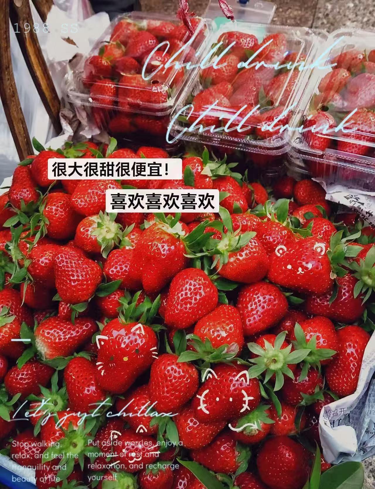 今日份甜食快乐是草莓给的奶油草莓 逛市场有多治愈 冬天的快乐是草莓 草莓季