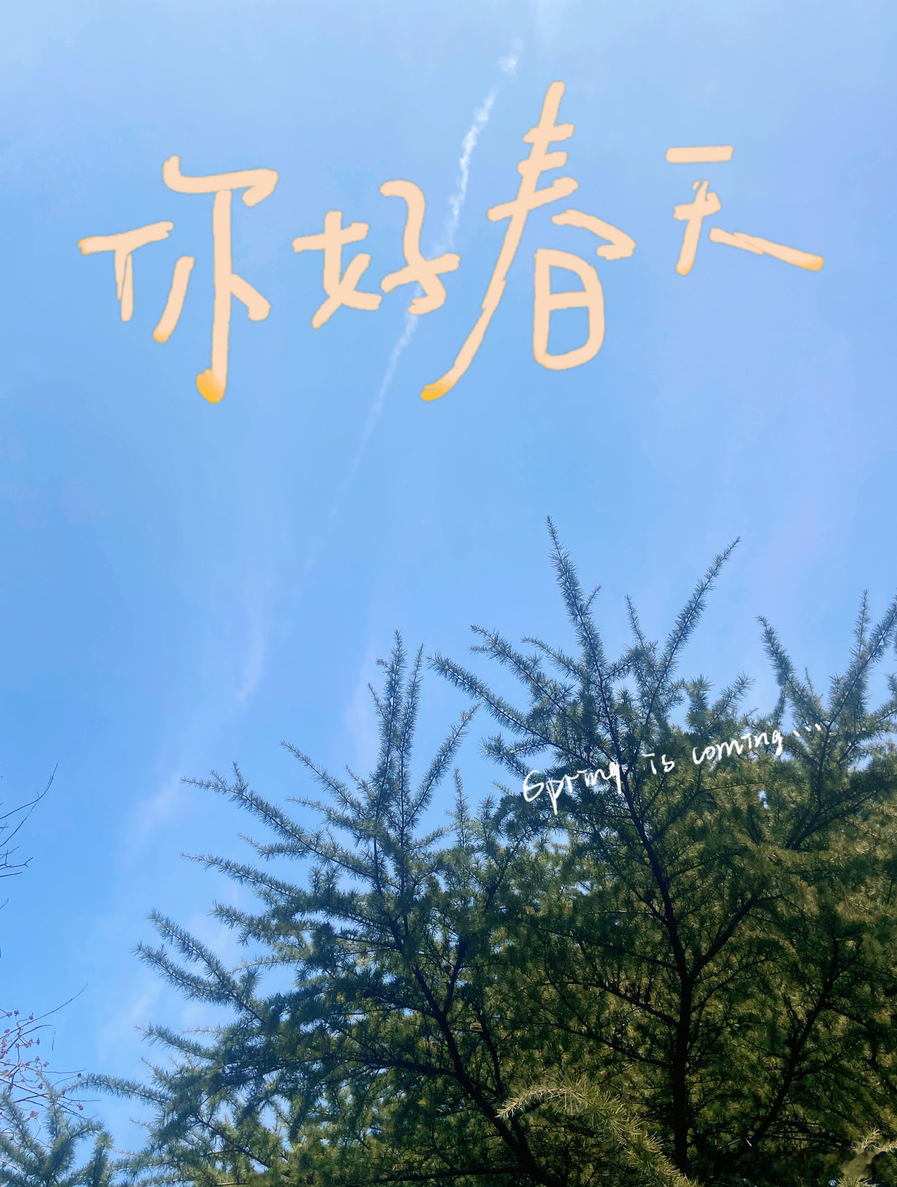 徐州GAP日记恰逢周末正好和朋友一拍即合，说走就走进行短途旅行☺️一起半夜Cit