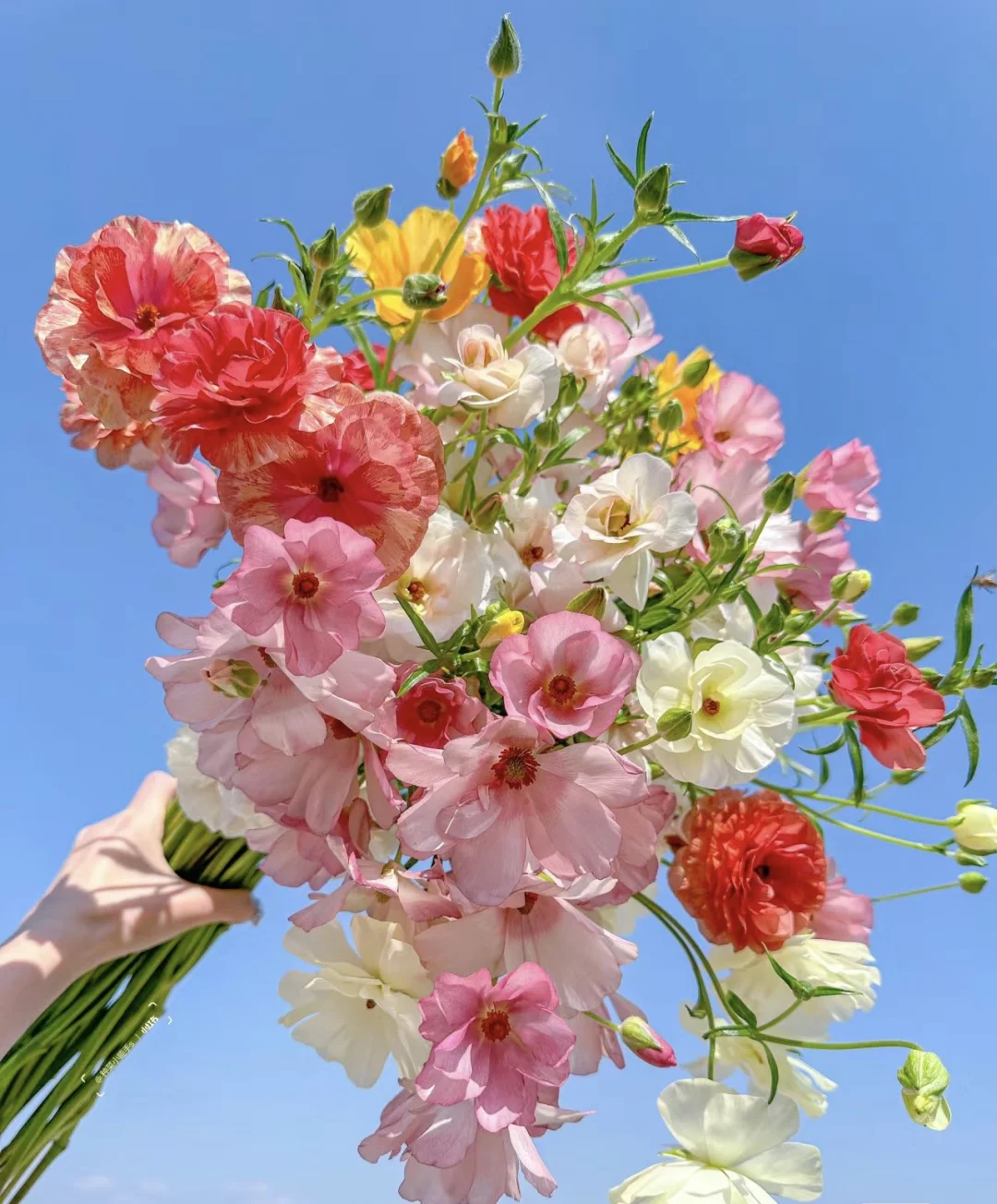 2026年春节，写给亲爱的自己