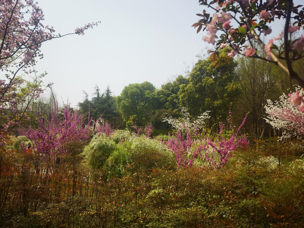 昨天立冬，今日记者节。