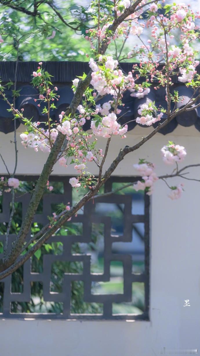 一片春心付海棠… 