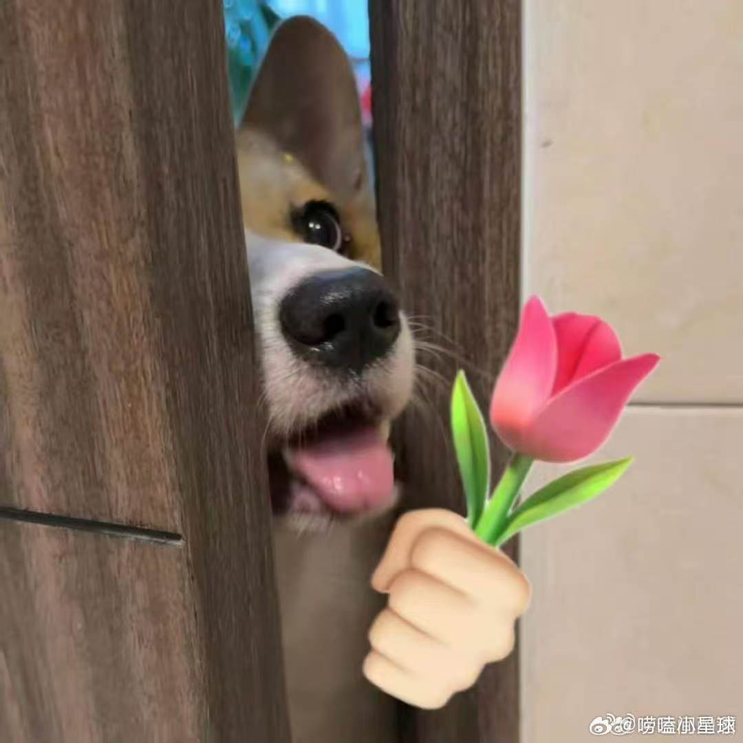 纯过日子人的冬天belike 囤好萝卜白菜，暖气一开，安安稳稳宅家度日。 ​​​