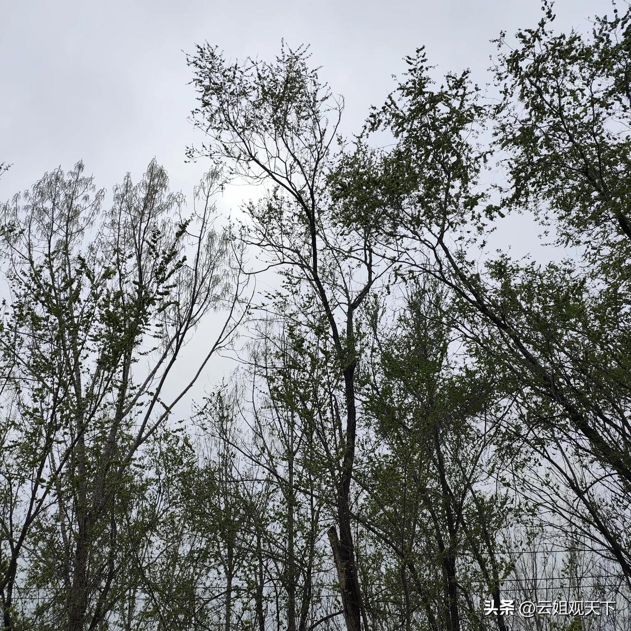 什么样的老人，儿女才会真心待见？
 
其实啊，老人和儿女相处，讲究的是一门学问。