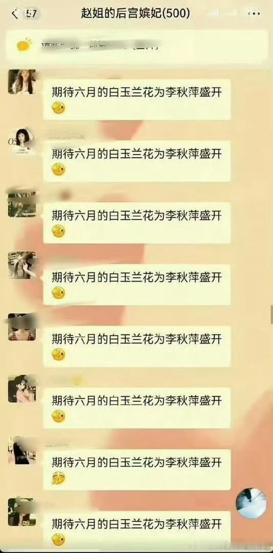 家人们我的肚肚，六月白玉兰花会不会为你们盛开我不知道，但是五月的白玉兰最佳女主角