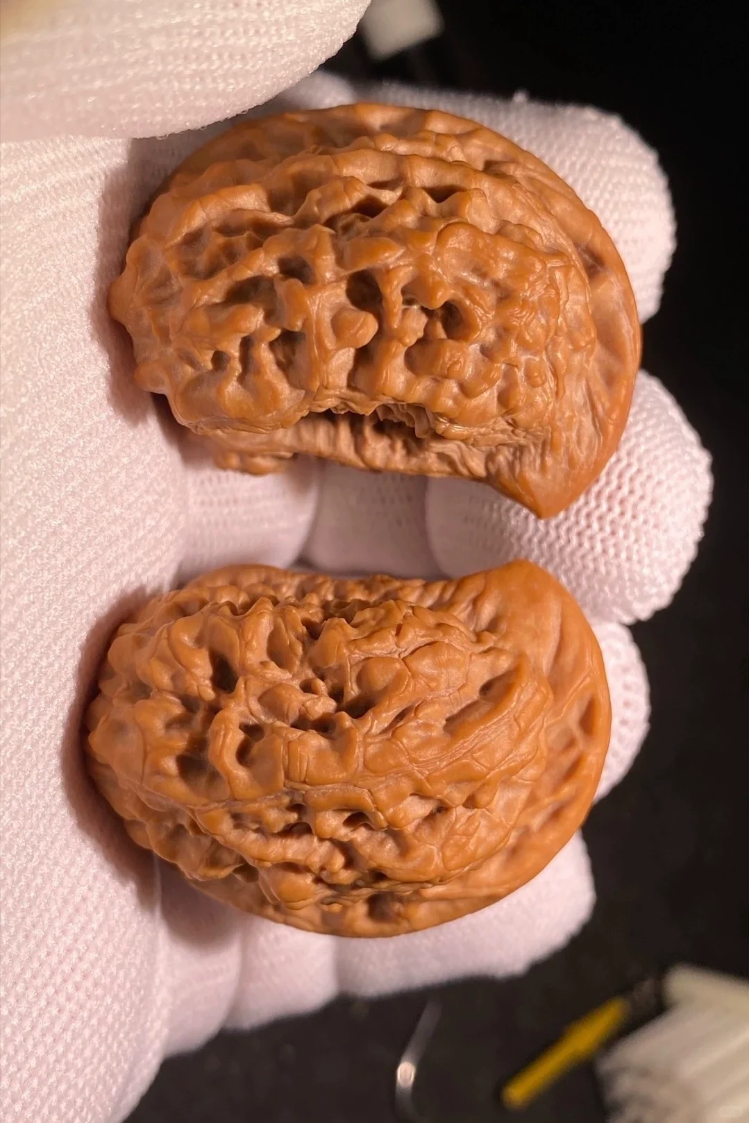 这样的异形是送礼之佳品 ！！