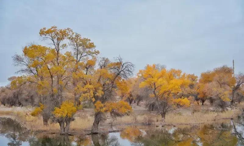 厦门干了二十年钩机的男人，癌症晚期被新家庭“退货”，拖着病体回村找原配。
村里人