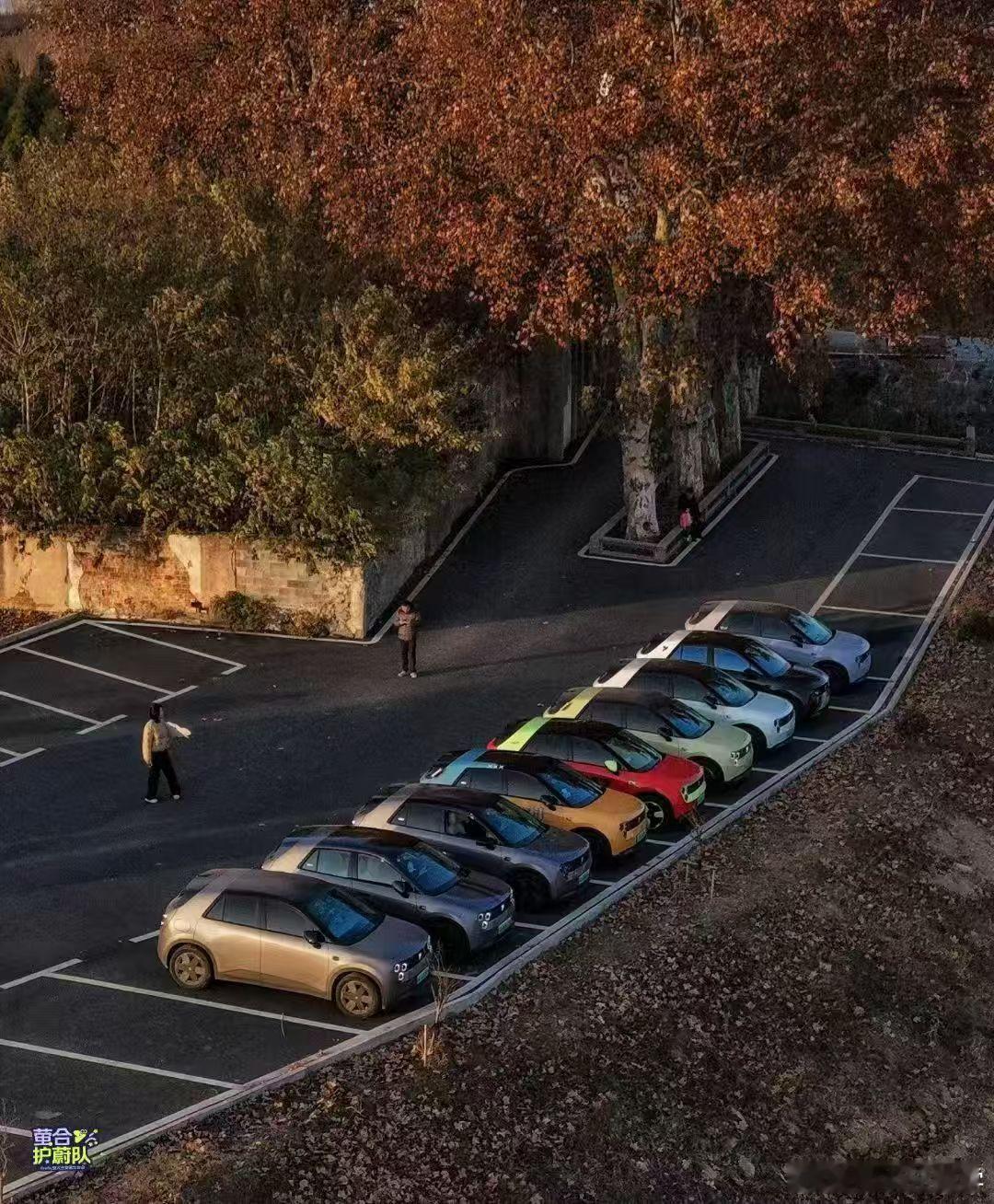 兄弟们，这个真好看哎萤火虫玩法多多，就看你能想到不？水哥有话说