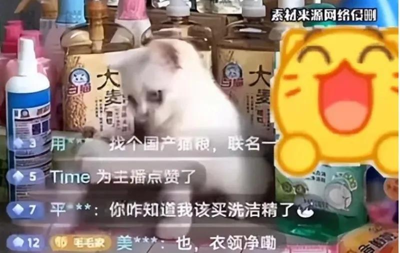 白猫的直播间，真的是只白猫啊


🐱一花落，万物生。李佳琦的花西子事件，让一众