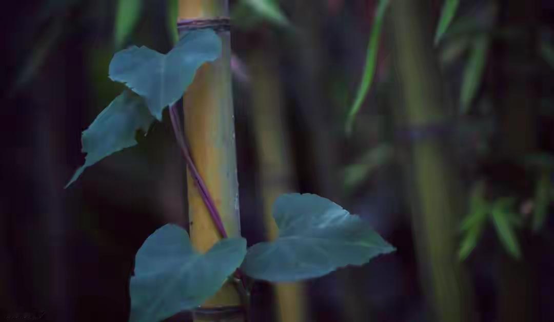 你人生最好的“贵人”，是你自己

你，是不是也这样？
在人生的“低谷”里，
总渴