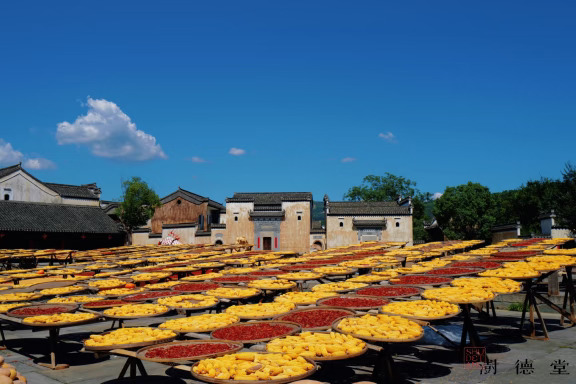 呈坎晒秋｜邂逅秋日的多种色彩🎨