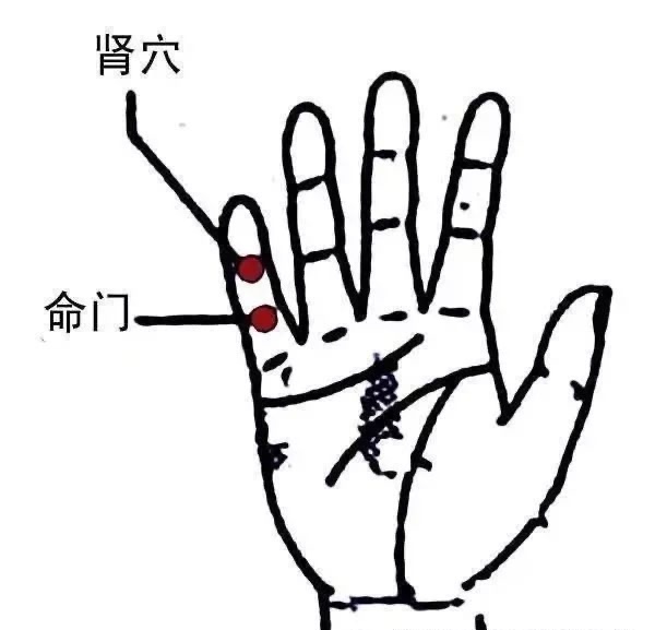 深藏不露的“小拇指”，具有强大的强肾功能，能让你在70多岁还能生儿育女！一、小指