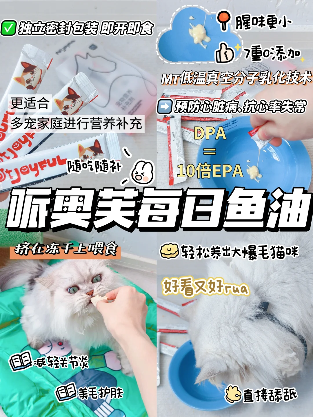 新手养猫不踩🕳|快来一起抄作业
