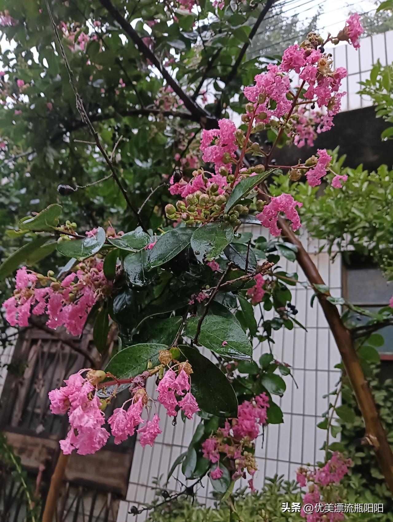 晒图笔记大赛太美了吧！
