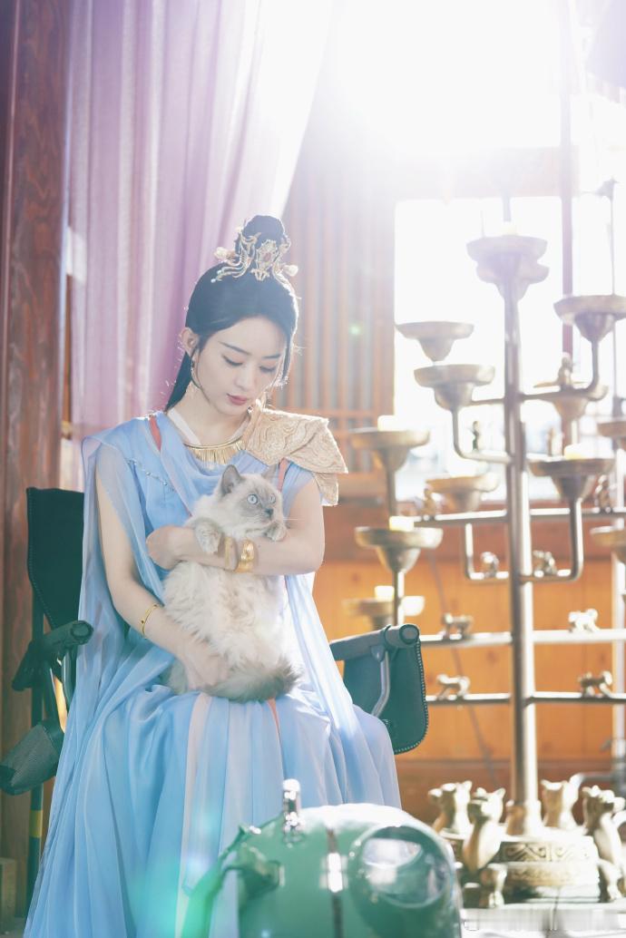 赵丽颖沈璃周一营业照赵丽颖沈璃抱猫营业 赵丽颖沈璃周一营业照，赵丽颖沈璃抱猫营业