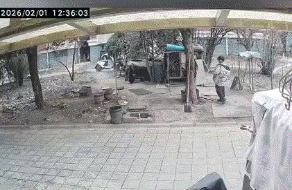 太惨烈了，江苏连云港，两个孩子在小区放烟花时，不慎点燃了一个放在小区角落的狗笼，