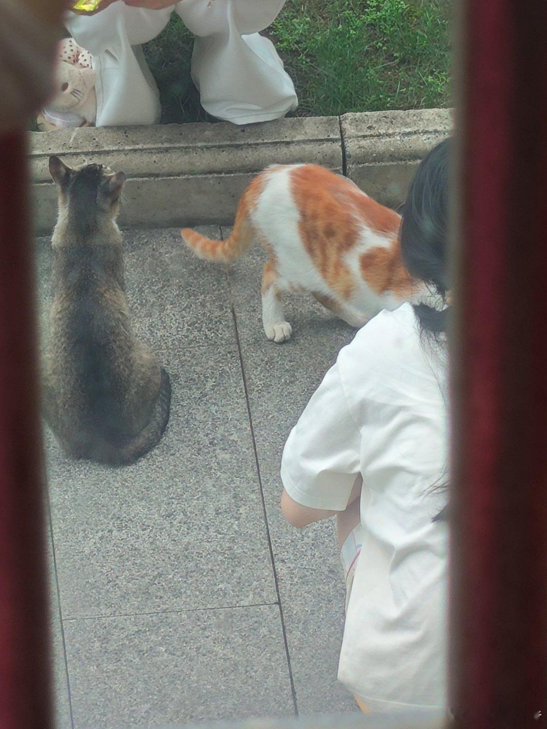 楼下两个学长 