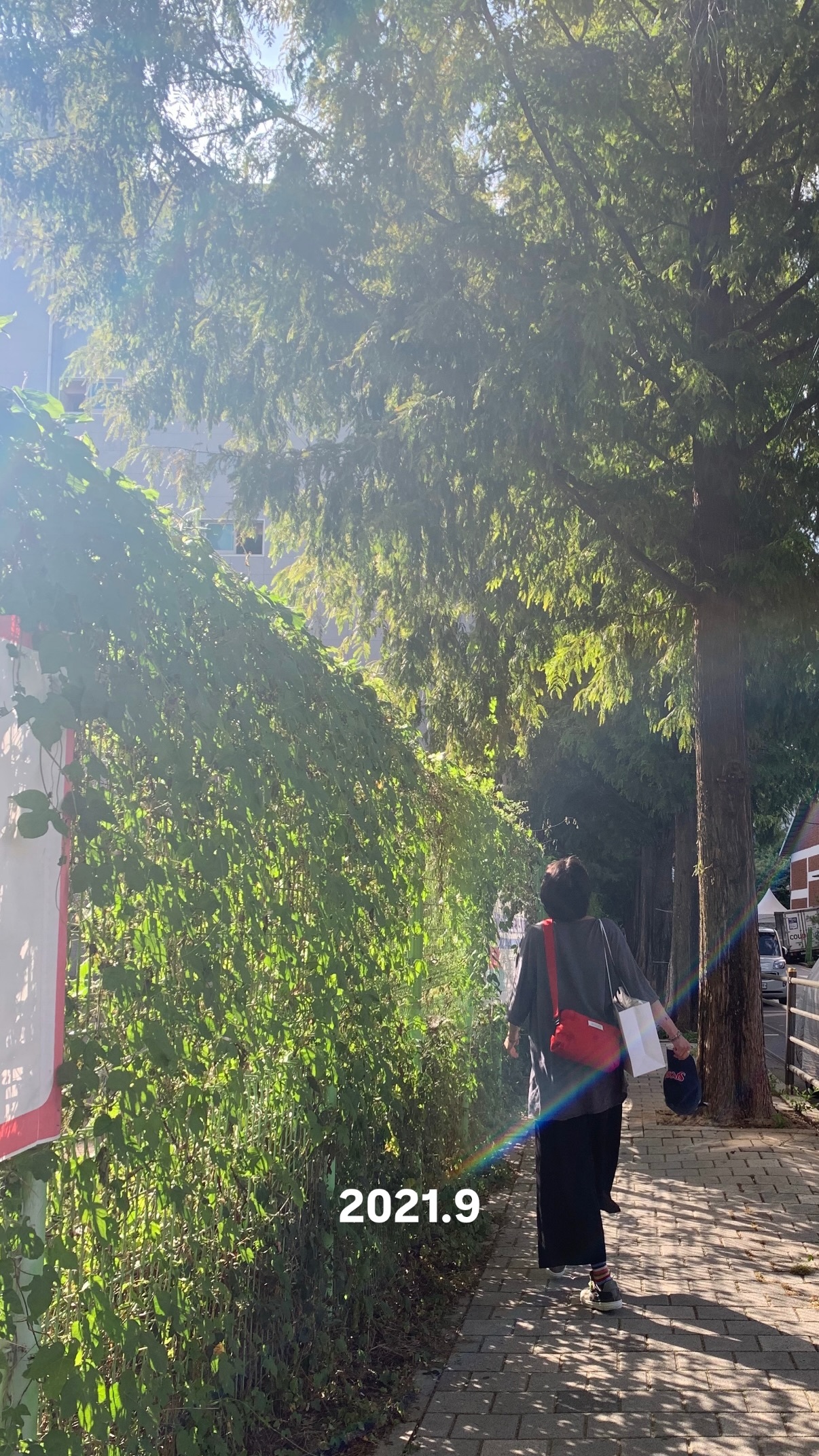 “CB百蓝_。260318金钟云 ins story更新： 