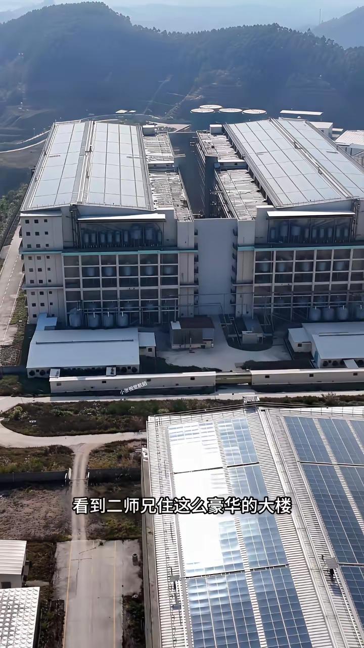 现在规模化养猪的人是农民吗? 现在规模化养猪的人算不算农民，还真不好界定。以前中