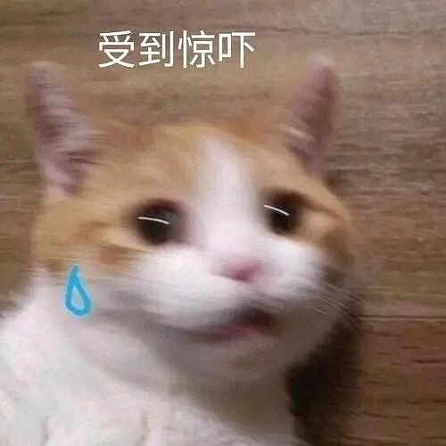垂死梦中惊坐起！我忘记请假了！明天得五点半起床去看我女儿比赛！挖槽！我这一天天的
