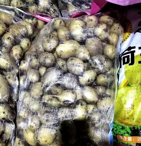 陕西商洛，一司机拉35吨土豆下高速走绿通，收费员却认定是“土豆种子”，5711元